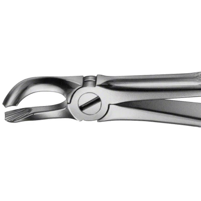 Abbildung von ANATOMICA Zahnzange Figur 79 UK Weisheitszähne