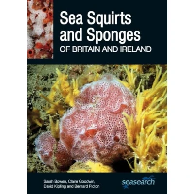 Abbildung von Sea Squirts and Sponges of Britain Ireland (Wild Nature Press)