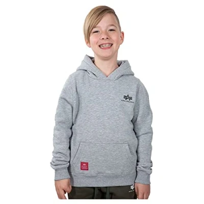 Abbildung von Alpha Industries Basic Hoody Small Logo Kids Kapuzensweat für und Teens Grey Heather