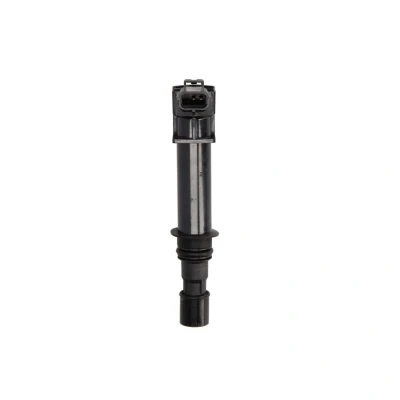 Abbildung von ENGITECH ENT960049 Zündspule 2 12 JEEP: GRAND Cherokee 3, 2, III, DODGE: Ram 1500 Pickup, Nitro SUV