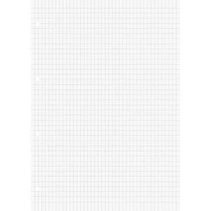 Abbildung von Brunnen 10 x Ringbucheinlagen A4 rautiert 50 Blatt