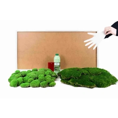 Abbildung von DIY Moosbild selber Machen, Wandbilder kleben, Moosbilder gestalten, Do it Yourself Set Moos kleben Wanddeko selbst herstellen (Weiß, 110x55 cm)