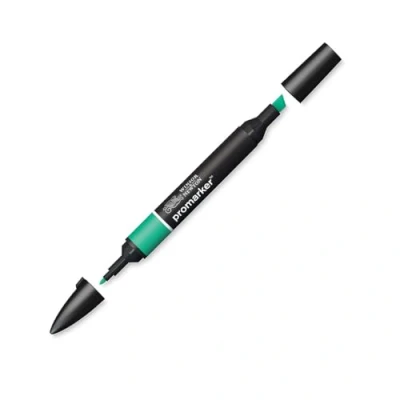 Abbildung von Winsor &amp; Newton &quot; ProMarker 0203289 Professioneller Layoutmarker 2 Spitzen, fein breit für Zeichnungen, Design Layouts Grün