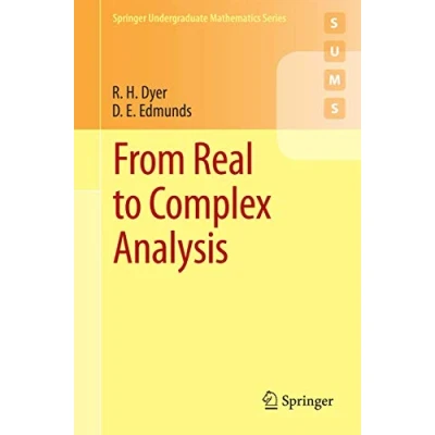 Abbildung von From Real to Complex Analysis (Springer Undergraduate Mathematics Series)