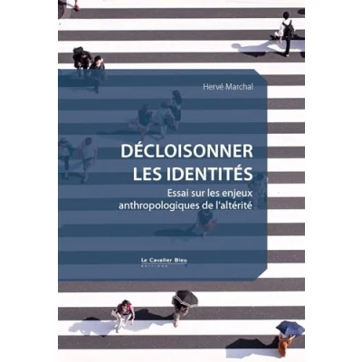 Abbildung von Décloisonner les identités: Essai sur enjeux anthropologiques de l&#039;altérité