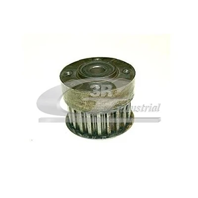 Abbildung von 3RG 10251 Umlenk /Führungsrolle, Zahnriemen 62mm