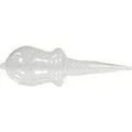 Abbildung von Analdehner Glas Gr.1 20 mm 1 St