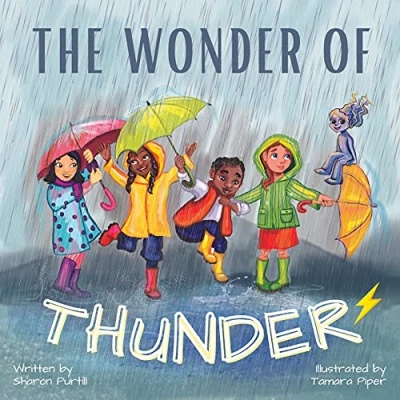 Abbildung von The Wonder Of Thunder: Lessons From A Thunderstorm