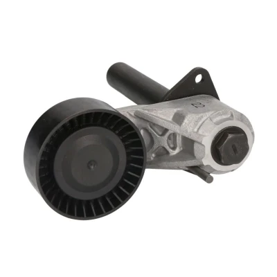 Abbildung von SWAG 20 93 6488 Riemenspanner BMW: X5, X6