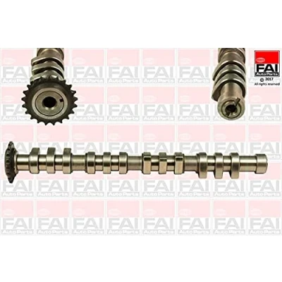 Abbildung von FAI AutoParts C377 Nockenwelle VOLKSWAGEN: Golf 4 Schrägheck, Passat B5 GP Variant, AUDI: A6 C5 Avant, A4 B7 B6 Avant