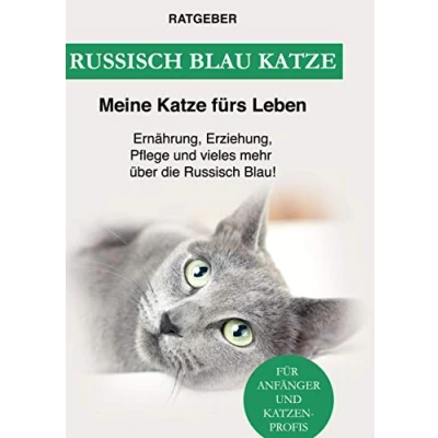 Abbildung von Russisch Blau Katze: Ernährung, Erziehung, Pflege, Charakter und vieles mehr über die Blau!