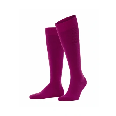 Abbildung von Falke Airport KH Kniestrümpfe Arctic pink, Herren, Größe: 41/42, pink