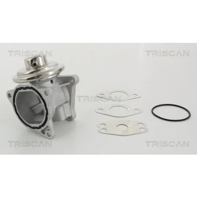 Abbildung von TRISCAN 8813 29111 AGR Ventil pneumatisch mit Dichtungen VOLKSWAGEN: Golf 4 Schrägheck, Passat B6 Variant, Touran I, SKODA: Octavia 2 Combi
