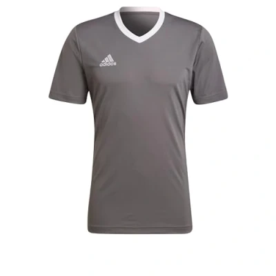 Abbildung von adidas HE1574 ENT22 JSY T Shirt Herren Team Grey Four Größe LT3