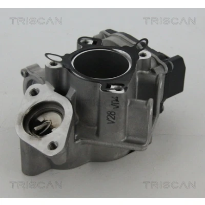 Abbildung von TRISCAN 8813 24039 AGR Ventil elektrisch mit Dichtungen RENAULT: ESPACE 4, MASTER 3 Pritsche/Fahrgestell, TRAFIC 2 Kasten, OPEL: Movano B Kastenwagen