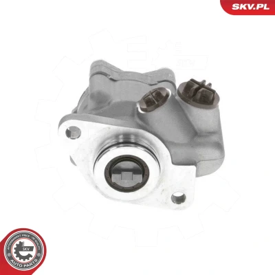 Abbildung von Hydraulikpumpe, Lenkung ESEN SKV 10SKV318