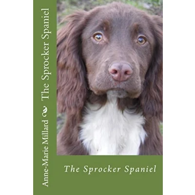 Abbildung von The Sprocker Spaniel extended edition: Everything you need to know from pup dog