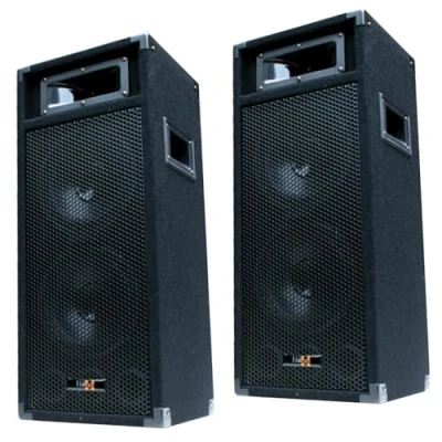Abbildung von E Lektron 2X 500W DJ Party Lautsprecher Boxen Paar doppel 8&quot; Bass PW220