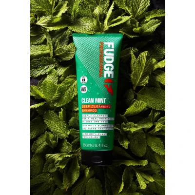 Abbildung von Fudge Deep Cleansing Mint Shampoo 250ml