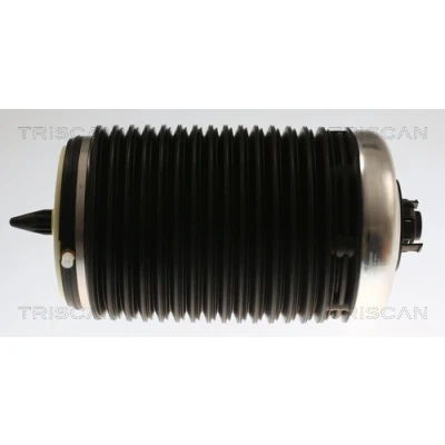Abbildung von TRISCAN 8720 29203 Luftfederbein AUDI: A6 C7 Avant, A7 Sportback