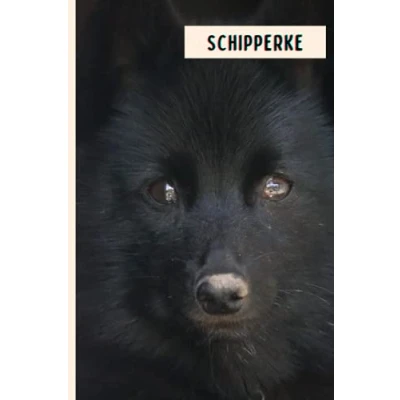 Abbildung von Schipperke: Composition Notebook For Schipperke Dogs Lovers , Lined Journal ,6x9 Inches 110 Pages ,Schipperke Diary