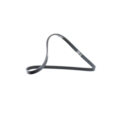 Abbildung von DAYCO 3PK740 Keilrippenriemen 740,0 3 RENAULT: CLIO 2, Kangoo I, I Rapid, DACIA: Sandero Logan Limousine