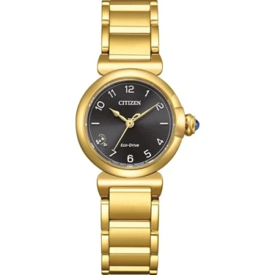 Abbildung von Citizen EM1132 88H Eco Drive Solar Damen Armbanduhr Goldfarben/Grau