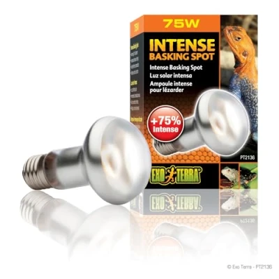 Abbildung von Exo Terra Intense Basking Spot, Wärmespotlampe, R20, 75W, Fassung E27