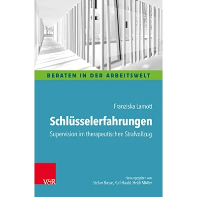 Abbildung von Schlüsselerfahrungen: Supervision im therapeutischen Strafvollzug (Beraten in der Arbeitswelt)