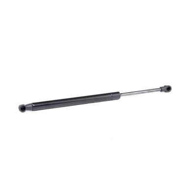 Abbildung von RIDEX 219G0663 Heckklappendämpfer 260 363 beidseitig BMW: 1 Coupe, Cabrio