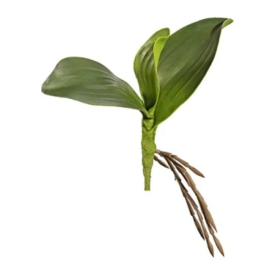 Abbildung von creativ home Künstl. ORCHIDEENLAUB 25 cm. Mit 3 Orchideenblätter und Luftwurzeln.
