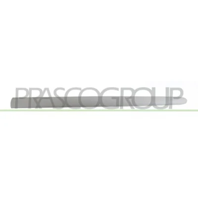 Abbildung von Zier /Schutzleiste, Tür PRASCO PG0111424