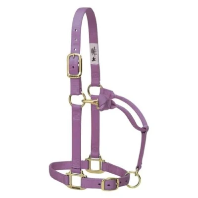 Abbildung von Weaver Leather Unisex Erwachsene Keine Angabe Original Verstellbares Kinn und Halfter, Nylon, Lavendel, Jährling, Yearling