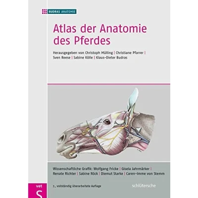 Abbildung von Atlas der Anatomie des Pferdes: herausgegeben von Christoph Mülling, Christiane Pfarrer, Sven Reese, Sabine Kölle, Klaus Dieter Budras