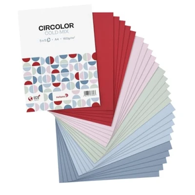 Abbildung von Netuno 25 Blatt Bastelkarton kalte Farben DIN A4 210x 297 mm 160g Circolor Mix farbig sortiert Farbkarton Tonpapier Buntpapier Umwelt bedruckbar Öko Karton