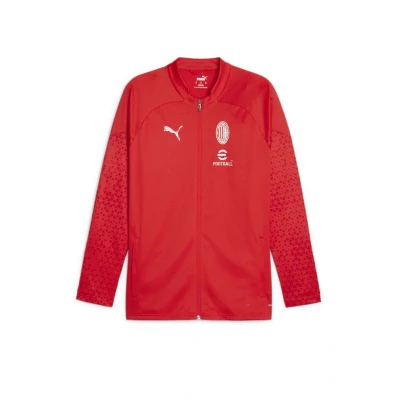 Abbildung von Puma AC Milan Vereinsmannschaften, Herren, Größe: XXL, For all time red feather gray