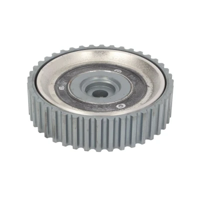 Abbildung von DAYCO CSP1000 Zahnrad, Nockenwelle RENAULT: Megane I Grandtour, Scénic 1