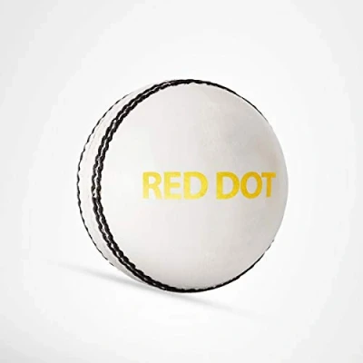 Abbildung von DSC Red Dot Leder Cricket Ball (Weiß) Wasserdichtes