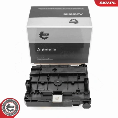 Abbildung von ESEN SKV 96SKV322 Steuergerät, Motormanagement