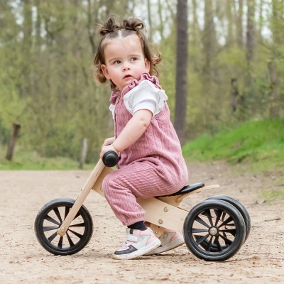 Abbildung von Laufrad ab 1 Jahr Smart bike 4in1 classic inklusieve Weidenkorb Bandit and Angels