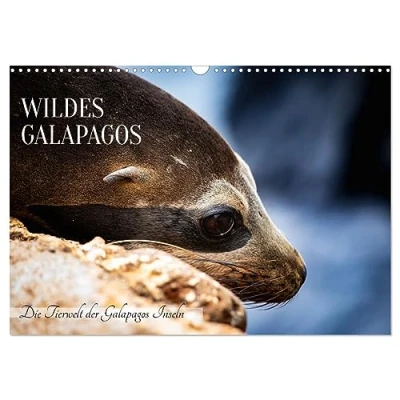 Abbildung von Wildes Galapagos Die Tiere der Inseln (Wandkalender 2025 DIN A3 quer), CALVENDO Monatskalender