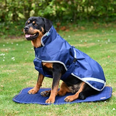 Abbildung von Bucas Therapy Dog Bed Navy Orange L Agradi.deVerkauft von Agradi
