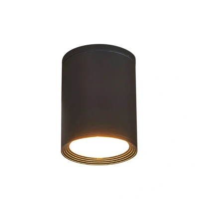 Abbildung von Lucande Außendeckenstrahler Minna, graphit, 14 cm, IP54, E27