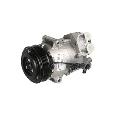 Abbildung von DELPHI TSP0155989 Kompressor 6CVC13 PAG 46 mit Kompressoröl OPEL: Zafira C Tourer, Astra J Sports Schrägheck