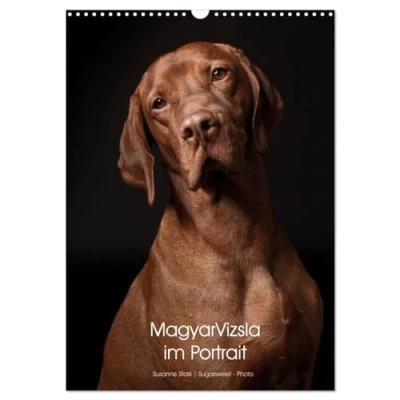 Abbildung von Magyar Vizsla im Portrait (Wandkalender 2025 DIN A3 hoch), CALVENDO Monatskalender