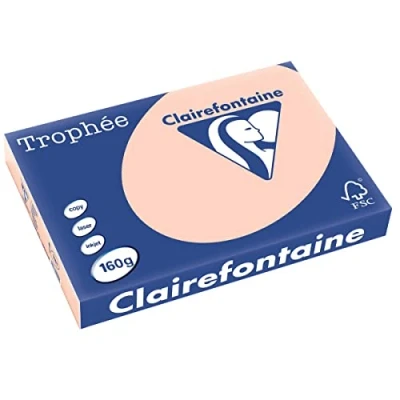 Abbildung von 4 x Clairefontaine Kopierpapier Trophee A3 160g/qm VE=250 Blatt lachs