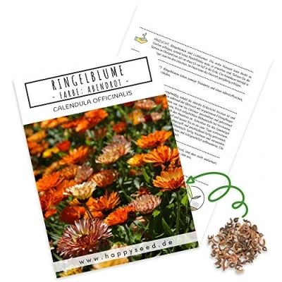 Abbildung von Ringelblumen Samen (Calendula Officinalis) Vielseitige Heilpflanze mit essbaren Blüten &amp; ideal für eine bunte Blumenwiese (Abendrot)