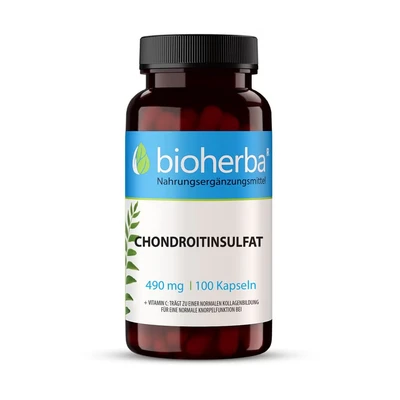 Abbildung von Chondroitinsulfat 490 mg 100 St