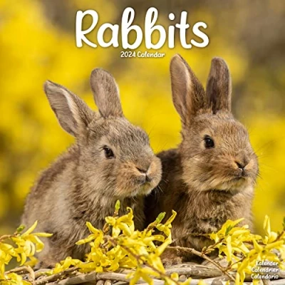 Abbildung von Rabbits Kaninchen 2024 16 Monatskalender: Original Avonside Kalender [Mehrsprachig] [Kalender] (Wall Kalender)