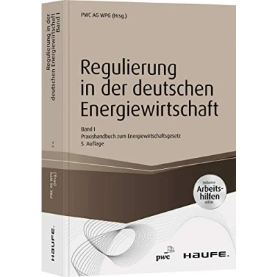 Abbildung von Regulierung in der deutschen Energiewirtschaft. Band I Netzwirtschaft: Netzwirtschaft Praxishandbuch zum Energiewirtschaftsgesetz (Haufe Fachbuch)